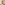 The profile picture of Lee Worth.