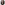 profile picture of Wardah Manuel