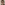 2026-06-profile-pic-Adriana-Sparacino