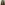 Profile picture of Adrienne Mendenhall.