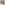 2022-07-sr-catherine-barton-profile