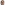 Profile picture of Anna Chieng