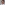 2026-03-profile-pic-shailee-pradhan