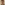 This is the profile picture of Bryant Walker Smith.