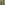 Profile picture of Jennifer Stevens