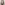 Profile picture of Sunae Kim
