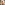Profile picture of Alison McLeod