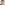 Profile picture of David Lu