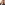 Profile picture of Dana Franzetti.