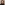 Profile pic Alejandra Navarro Gallo