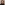 Profile pic Alejandra Navarro Gallo