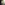 profile picture of Nicola Rieke