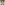 Profile picture of Yuji Watanabe