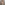 Profile picture of David Loparco