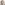 profile picture of Thomas Rauber