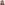 Profile picture of Danielle Craig.