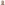 Profile picture of Nick Mingo