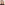 Profile picture of Shelly Habecker.