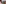 Analytics_event_MC_2019_pic5