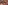 IndiaPaper_iStock-468219484