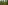 This is the header image of the article: Swiss Re climbs to second rank in the Dow Jones Sustainability Indices amongst the re/insurance industry. it shows the green ground of a forest.