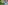 AI distorted image.