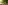 seeds_web