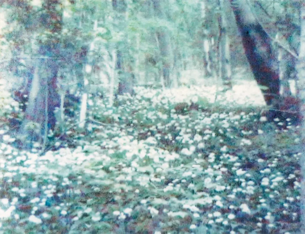 Shades of Time　 Annelies Strba　アナリス・ストルバ Annelies Štrba: Shades of Time | The Photographers Gallery