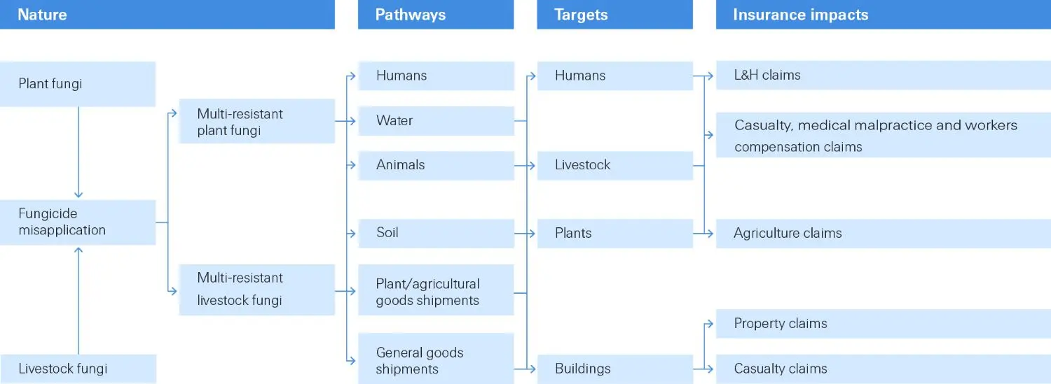 From fungi to insurance claims graph.