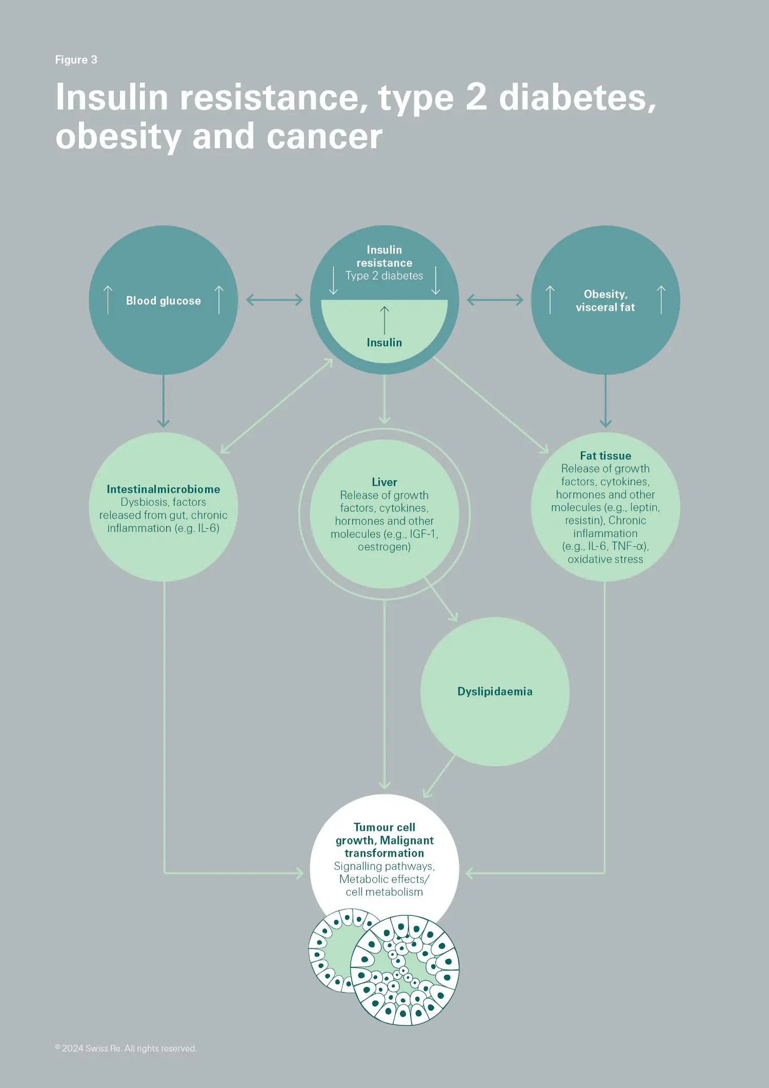 Diagram visualizing the complex network related to insulin resistance and type 2 diabetes, presented in a UML diagram format alongside text descriptions and pointers with balloon tags. The information is laid out like a poster, advertising a plan to combat the condition, with a disk representing data storage.