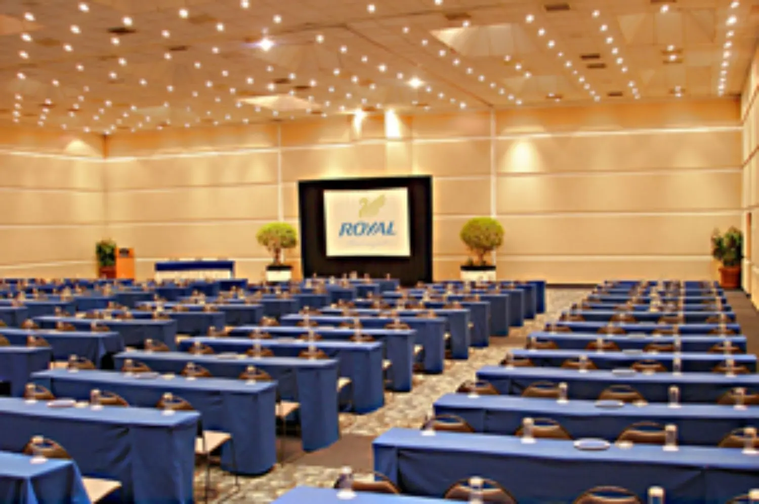 hotel_royal_pedregal_conf_room_mexico
