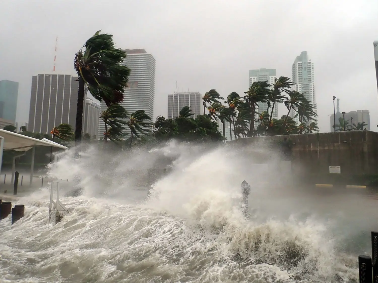 Hurricane is destroying the city together with flood.
