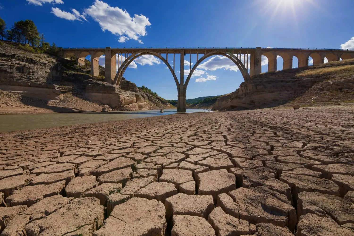 Drought