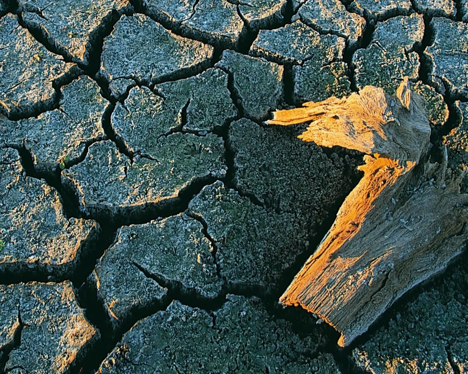 Severe drought Swiss Re Africa 1984.