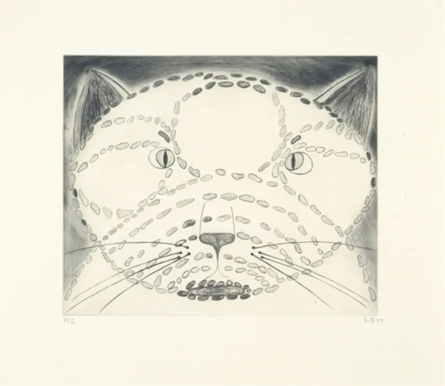 bourgeois-KL1563-angry-cat