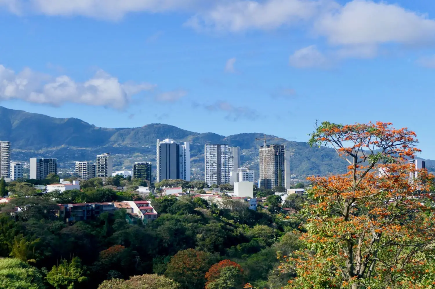 San Jose, Costa Rica cityscape featuring urban neighborhoods, high-rise buildings, lush trees, and a clear sky backdrop.