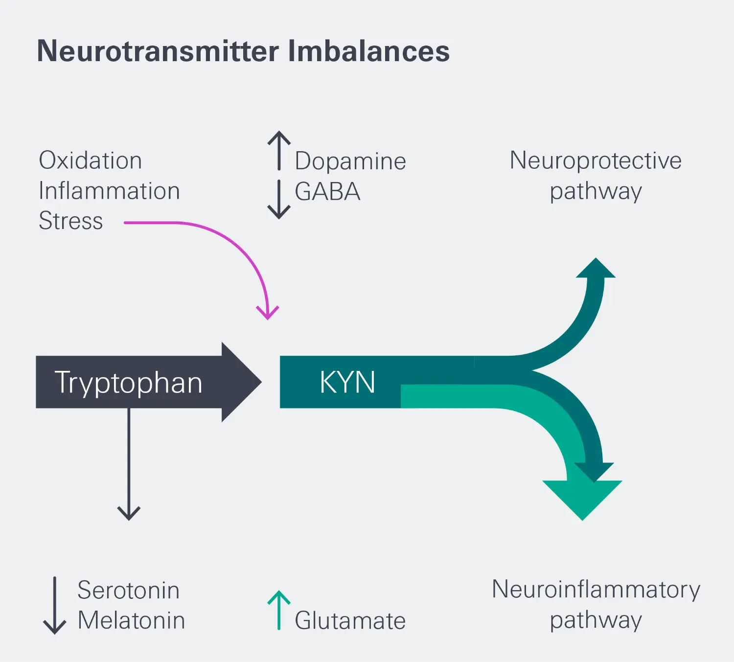 Image showing a diagram or plot related to neurotransmitter imbalances, featuring elements of outdoor airport terminal, electronic hardware, and a smoke pipe.