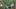 2023-09-sr-birds-fly-trees