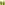 kou-KB1191-face-to-green