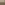 doig-KL1581-3-grasshopper-camp-forestia