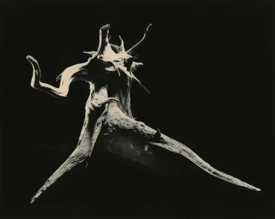 Series: #3029 Dance 