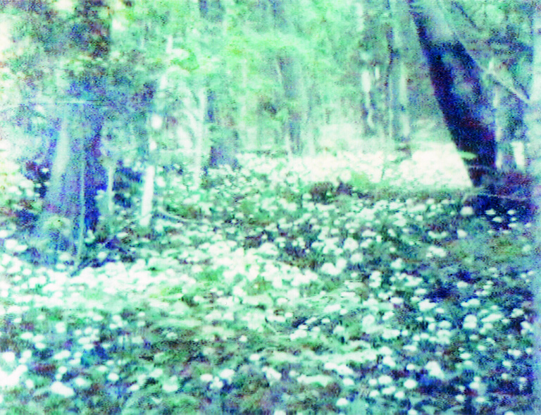 Shades of Time　 Annelies Strba　アナリス・ストルバ Shades of Time – limited special edition | Lars Müller Publishers