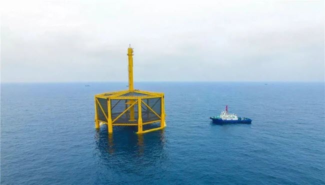 "Deep Blue No. 1" (Image courtesy of Rizhao Wanzefeng Fishery).