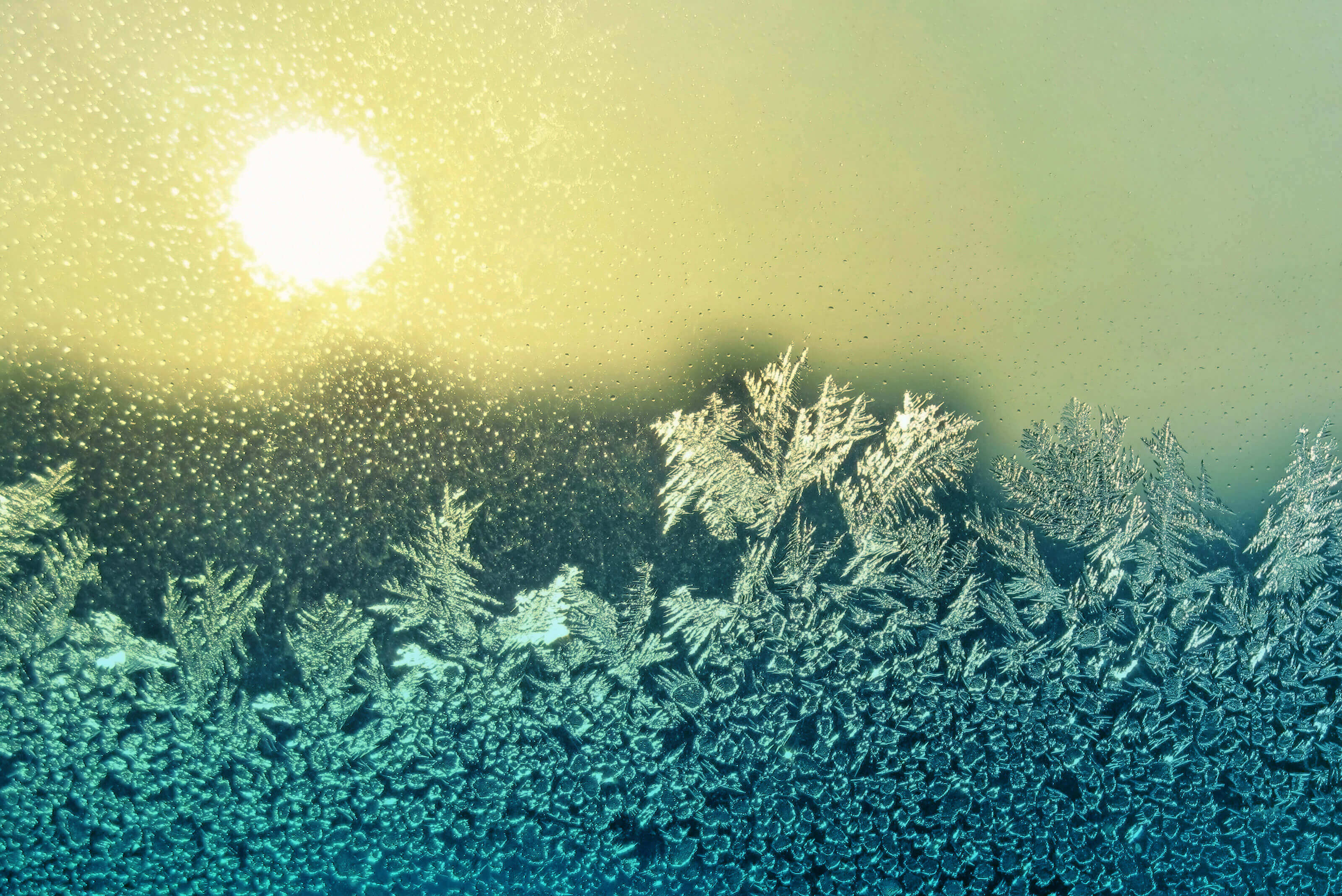 Top digital transformation themes for insurance in 2023 Swiss Re