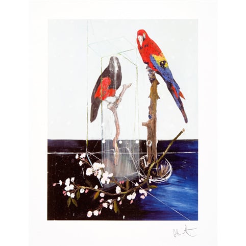 hirst-KL2279-two-birds-with-blossom