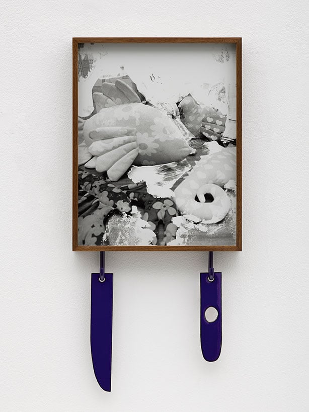 lassry-KB1045-untitled-fish