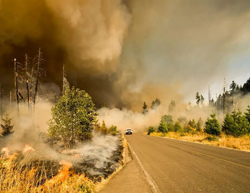 bushfire-natcat-2020