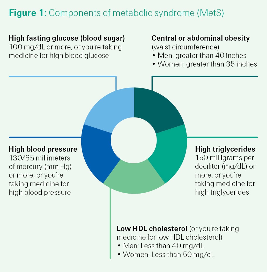 Figure 1 pie chart illustrating different components of metabolic syndrome (MetS), resembling a soccer ball, presented in a disk format on an advertisement poster.