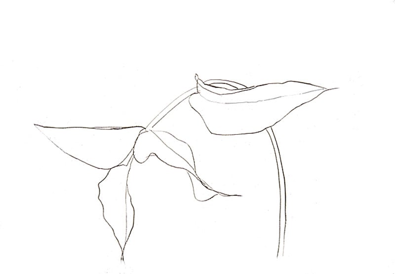 kelly-KL1475-philodendron