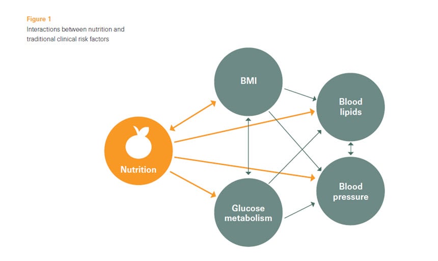 interactions-between-nutrition-traditional-clinical-risk-factors